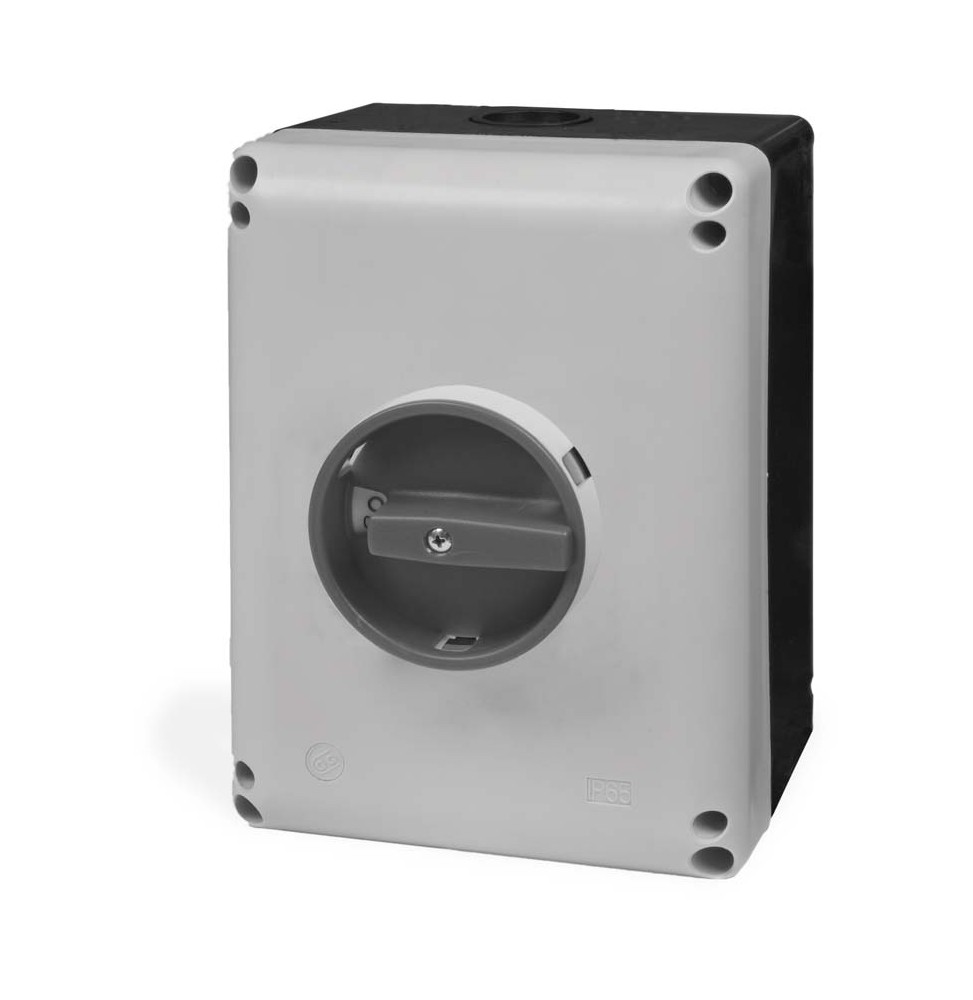 Rozłącznik 32 A (25 A), 3 polowy, w obudowie szaro-czarnej z metalu, z szarą tabliczką i czarnym pokrętłem, SQ025003DA09